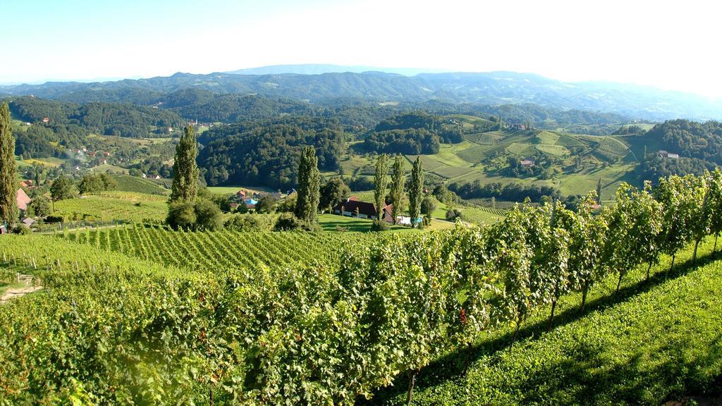 Hotel Weingut Rebenhof Moarhäuser Ratsch an der Weinstraße Zimmer foto